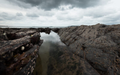 Landscapes
